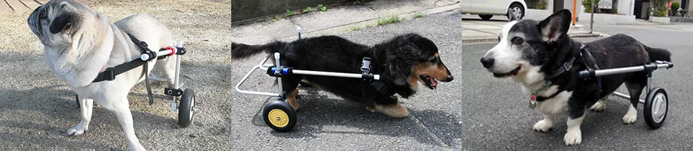 オーダーメイド歩行器・車椅子装着イメージ