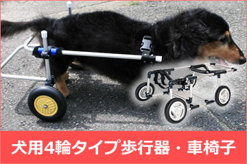 犬用歩行器（犬用車椅子）・犬用車椅子の製造販売はわんワークへ