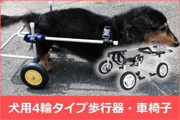 犬 歩行器  犬の歩行器　犬用車椅子