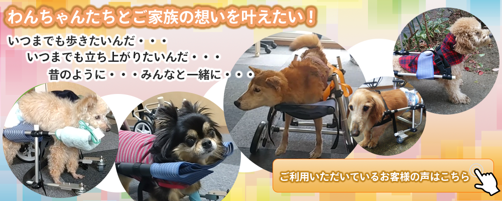 わんワーク犬用歩行器 お客様の声